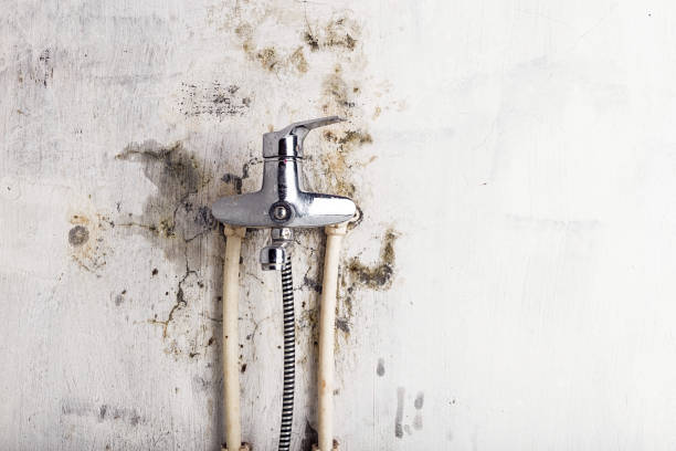 Best Bathroom Mold Remediation in Hypoluxo, FL